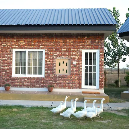 Rustic Roots Farm Stay Attari Exterior photo