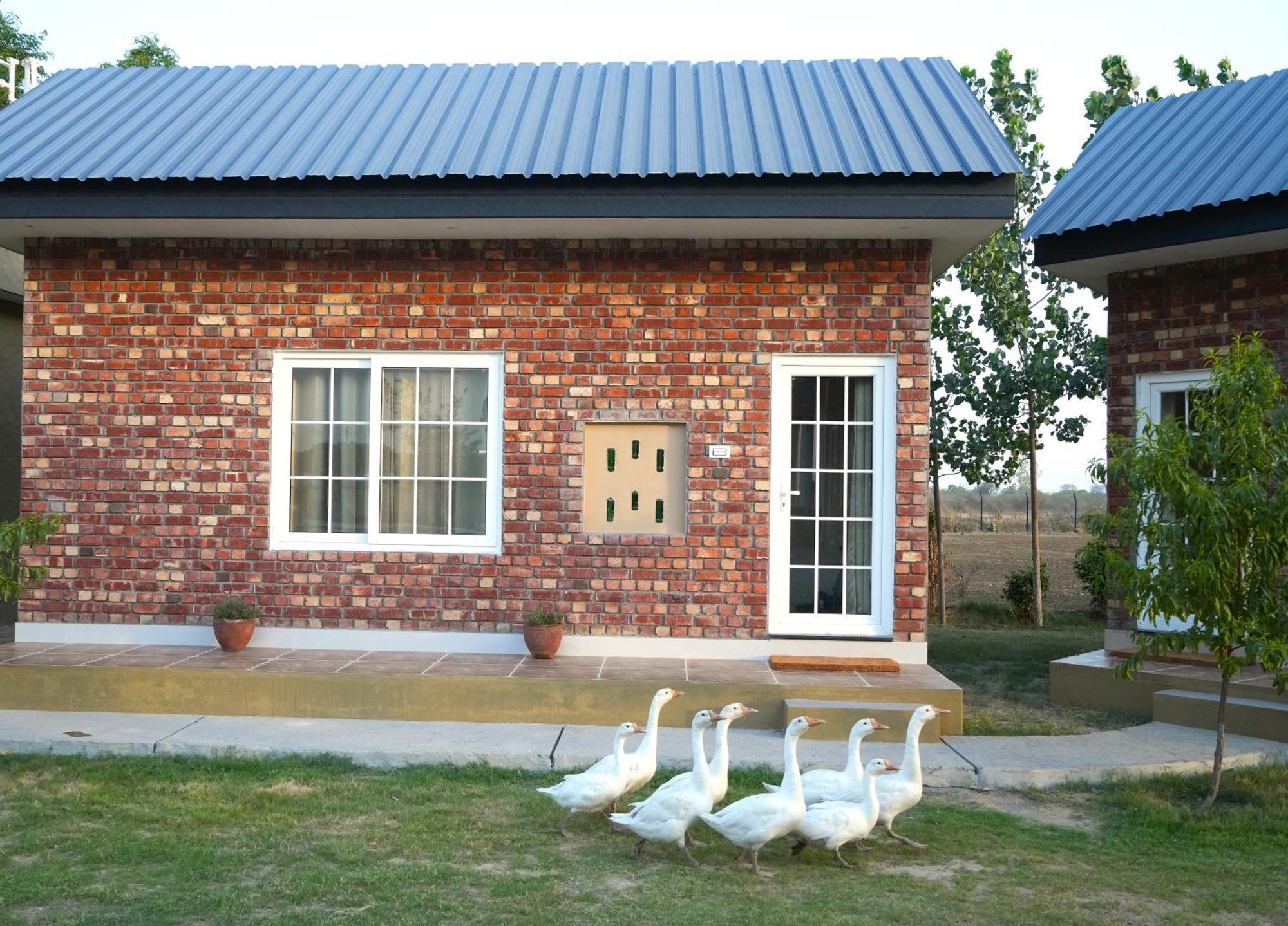 Rustic Roots Farm Farm stay